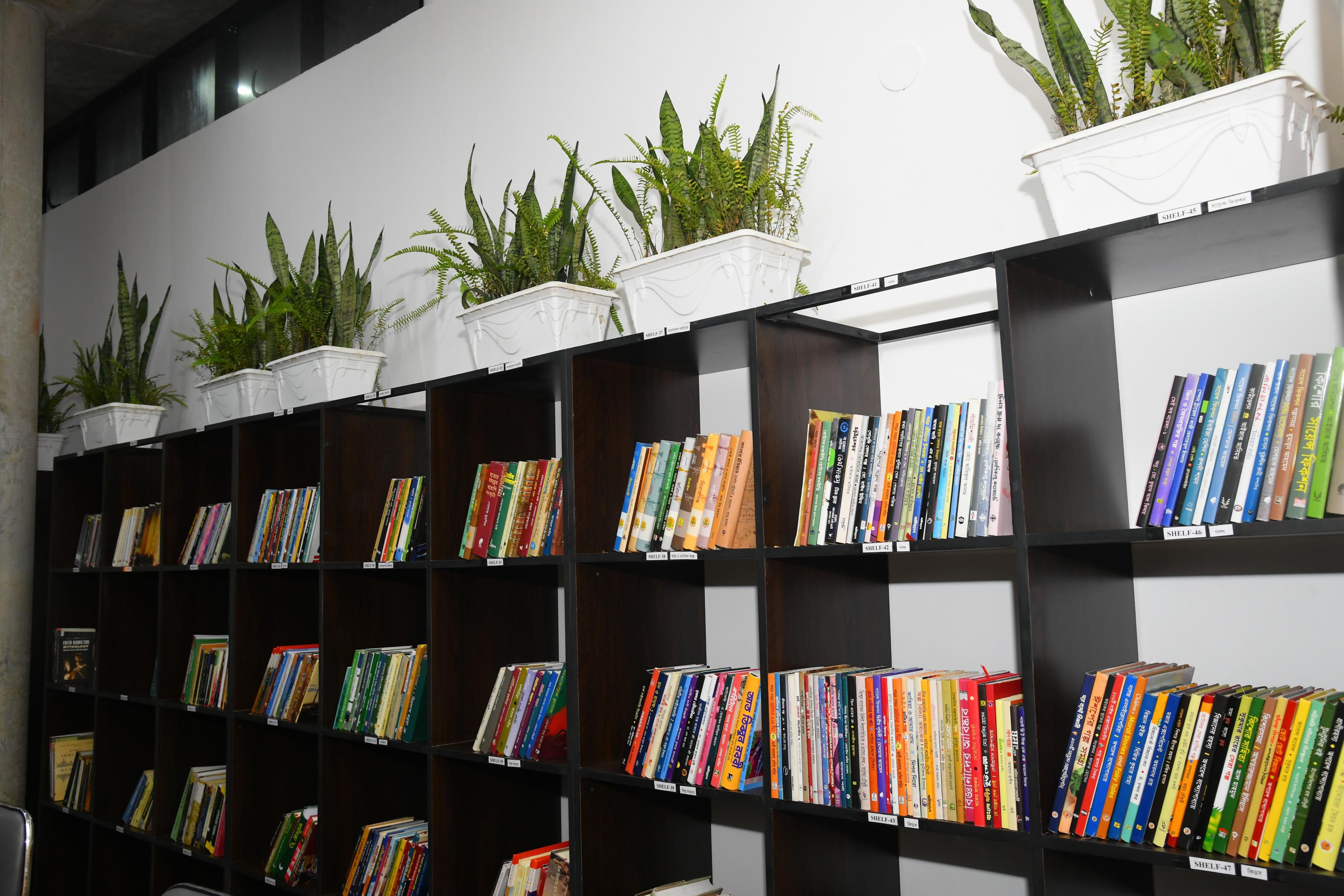Library Opening Ceremony